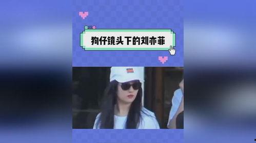 娱乐吃瓜记事本